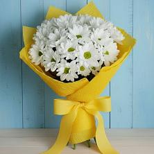 Букет цветов из:  Хризантемы в Гололобово
