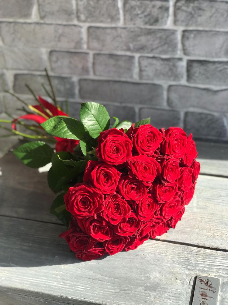 Букет Красные розы Фридом в Гололобово