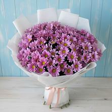 Букет цветов из:  Хризантемы в Гололобово