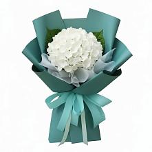 Букет цветов из:  Гортензия в Гололобово